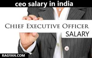 ceo salary in india