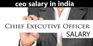 ceo salary in india